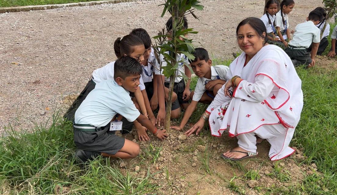 Tree Plantation